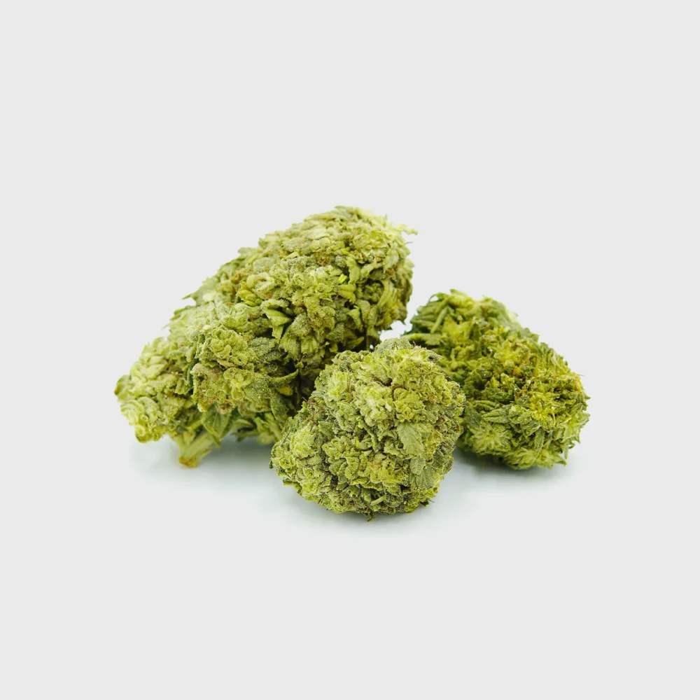 Shop Secondary Image