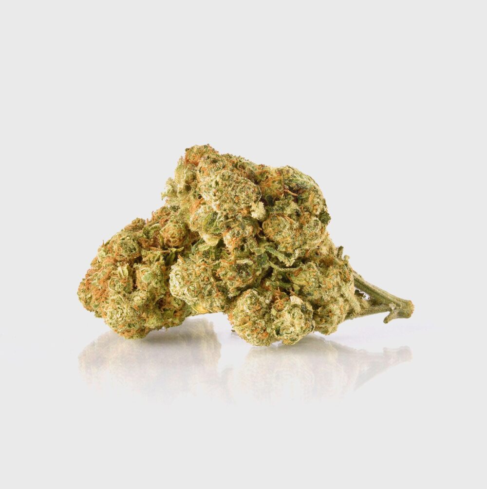 Shop Secondary Image